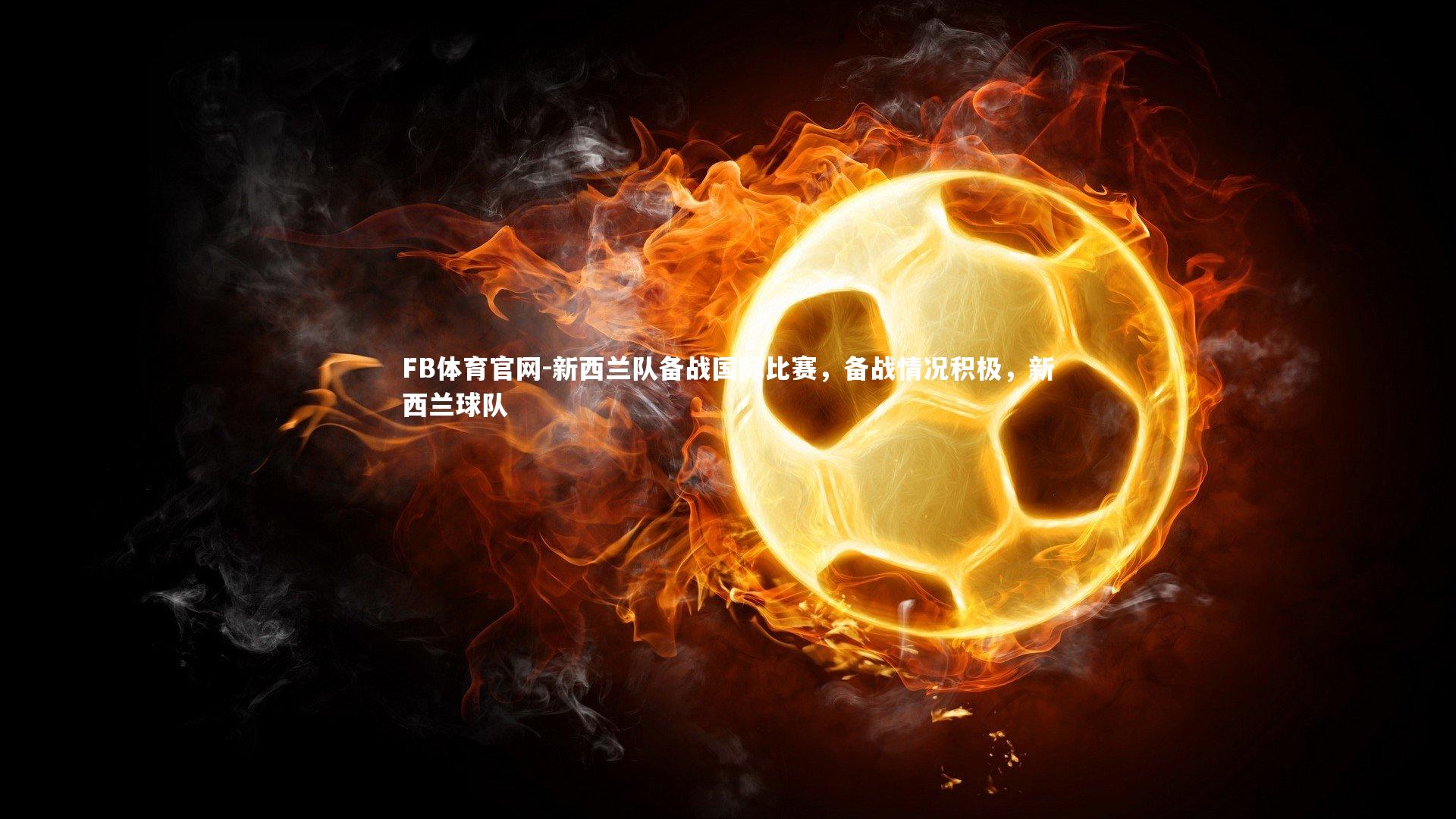 新西兰队备战国际比赛，备战情况积极，新西兰球队