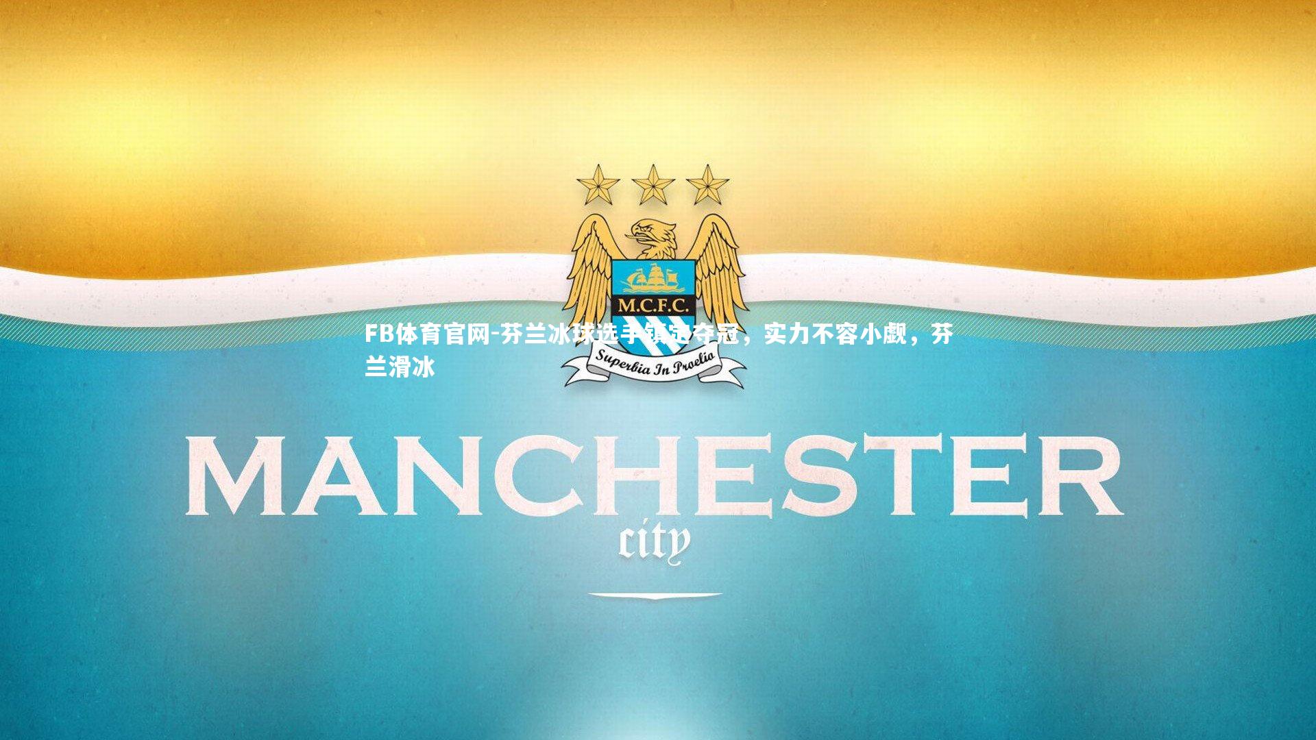 芬兰冰球选手镇定夺冠，实力不容小觑，芬兰滑冰